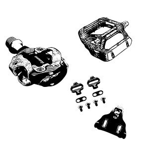 Pedal