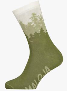 Maloja, GartenbaumläuferM., moss