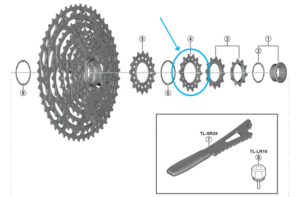 Shimano, Zahnkranz CS-M9100-12 14 Zähne