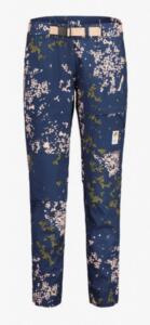 Maloja, DachsM., night sky mille fleur