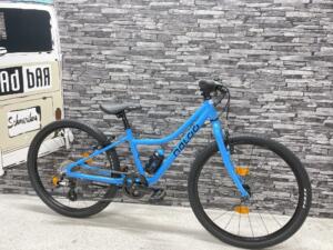 Naloo Chameleon 24", MK2, light blue